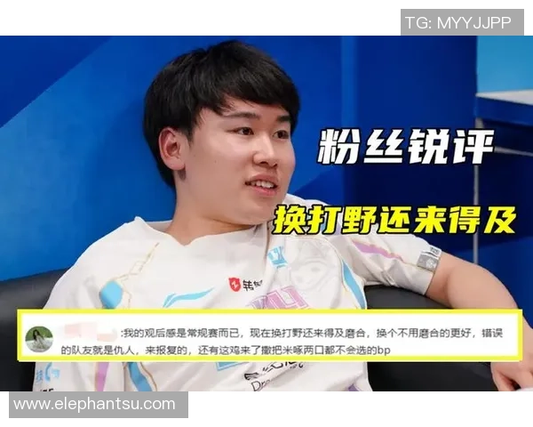 BLG战队在赛事中的耐力表现分析与数据解读 BLG战队在赛事中的耐力表现分析与数据解读