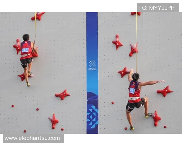 成都攀岩队的运营揭秘与深度分析探讨攀岩文化的崛起与发展 成都攀岩队的运营揭秘与深度分析探讨攀岩文化的崛起与发展