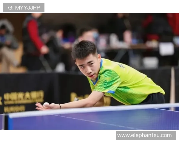 杭州乒乓球队区域防守体系解析与战术应用研究 杭州乒乓球队区域防守体系解析与战术应用研究