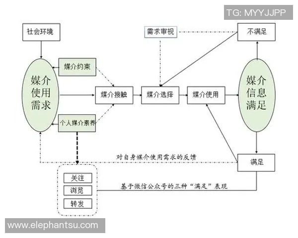 独家解析IG意识形态的异同与影响力深度对比分析