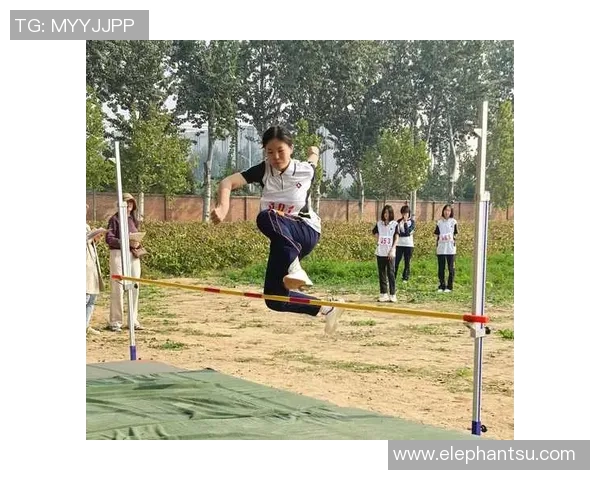 陈军的羽毛球人生深度对话探索运动背后的坚持与梦想